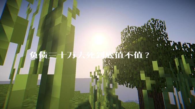 负债三十万去死到底值不值?