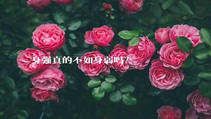 身强真的不如身弱吗？